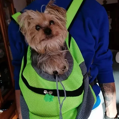 Small dog comfortably seated in a Portable Pet Backpack Carrier, perfect for traveling and outdoor activities.